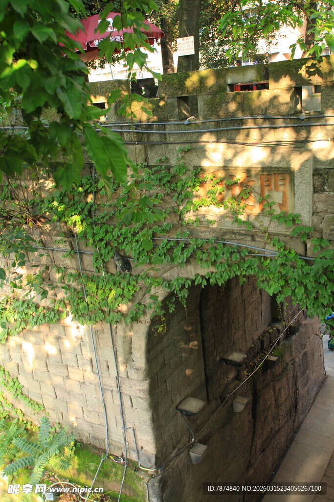 藤蔓覆盖的古老石砌洞口