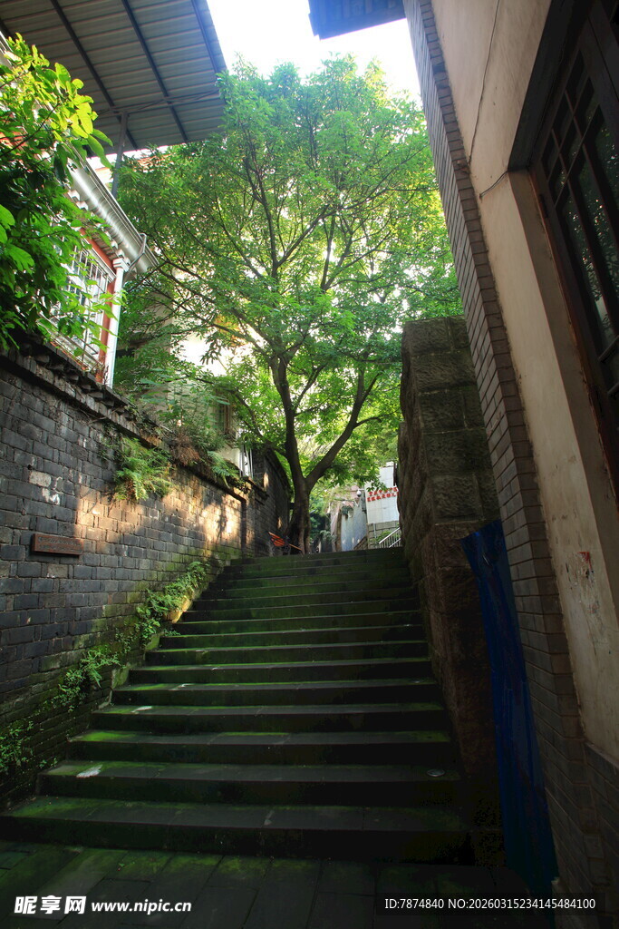 绿荫下的静谧石阶小巷