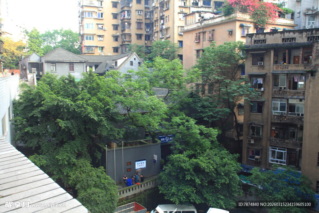 城市中繁茂绿植覆盖的楼间