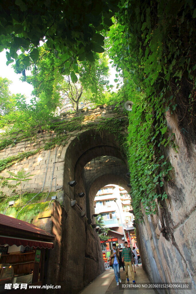 藤蔓覆盖的古老拱形通道