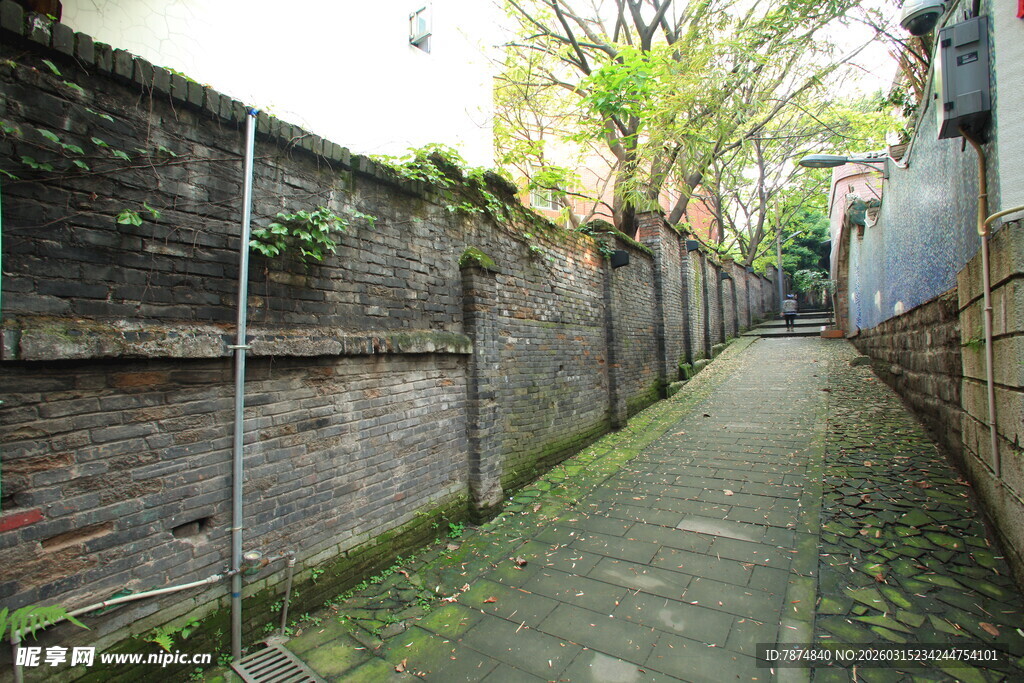 幽静小巷 砖墙绿植相伴