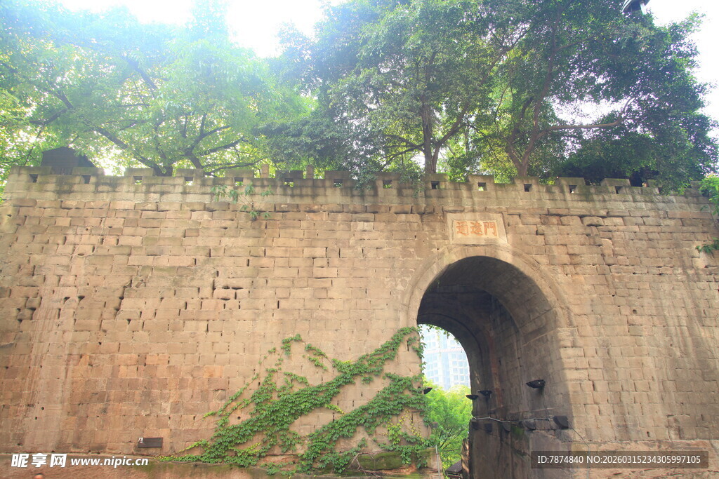 古老石墙拱门与绿植