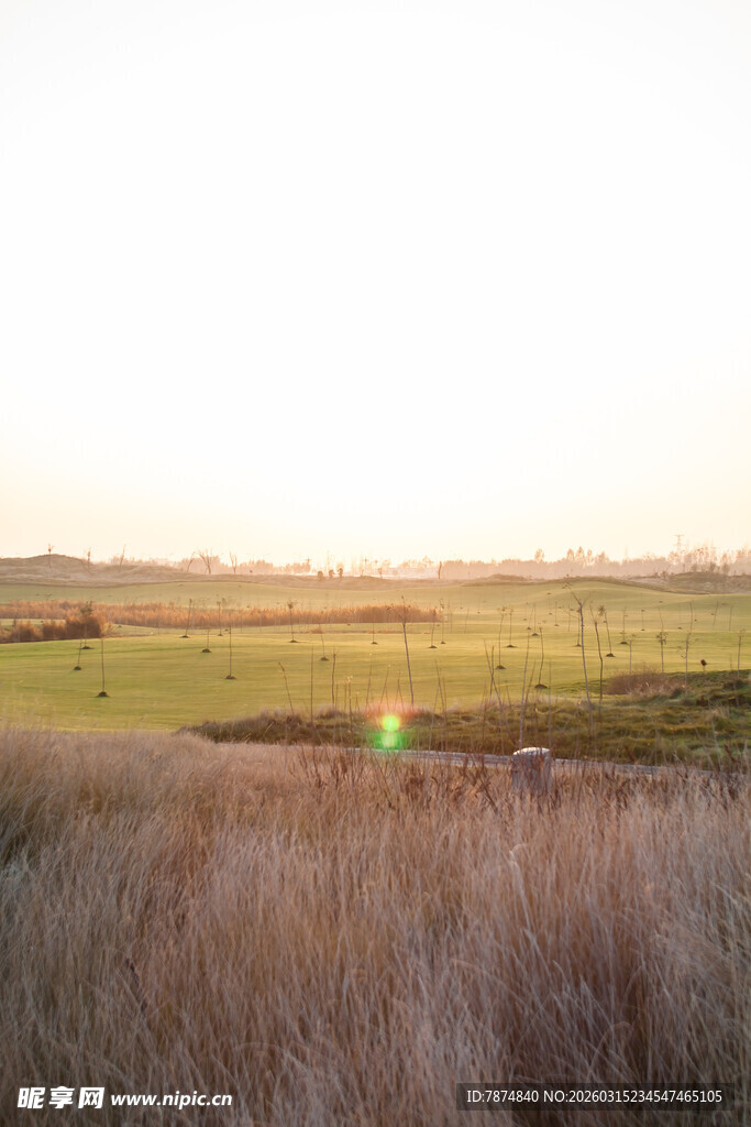 黄昏下的原野风光