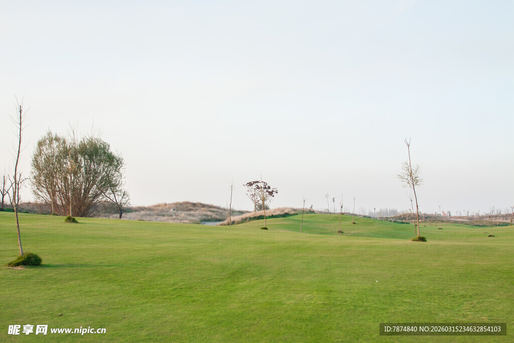 绿茵高尔夫球场美景