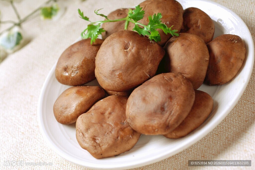 鲜香菇