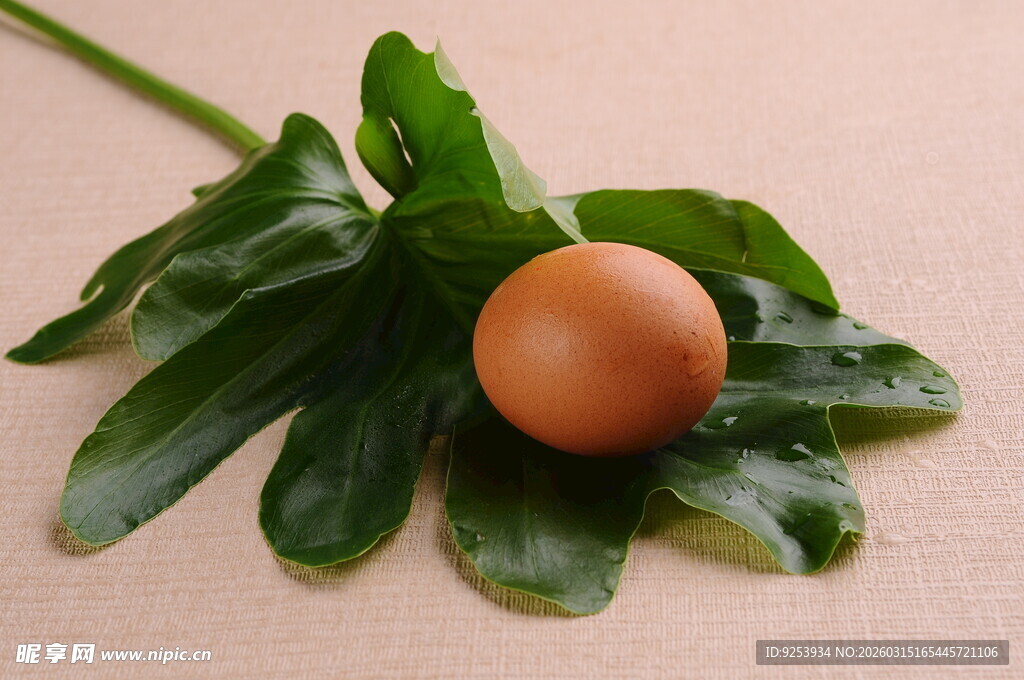 绿叶上的一枚鸡蛋