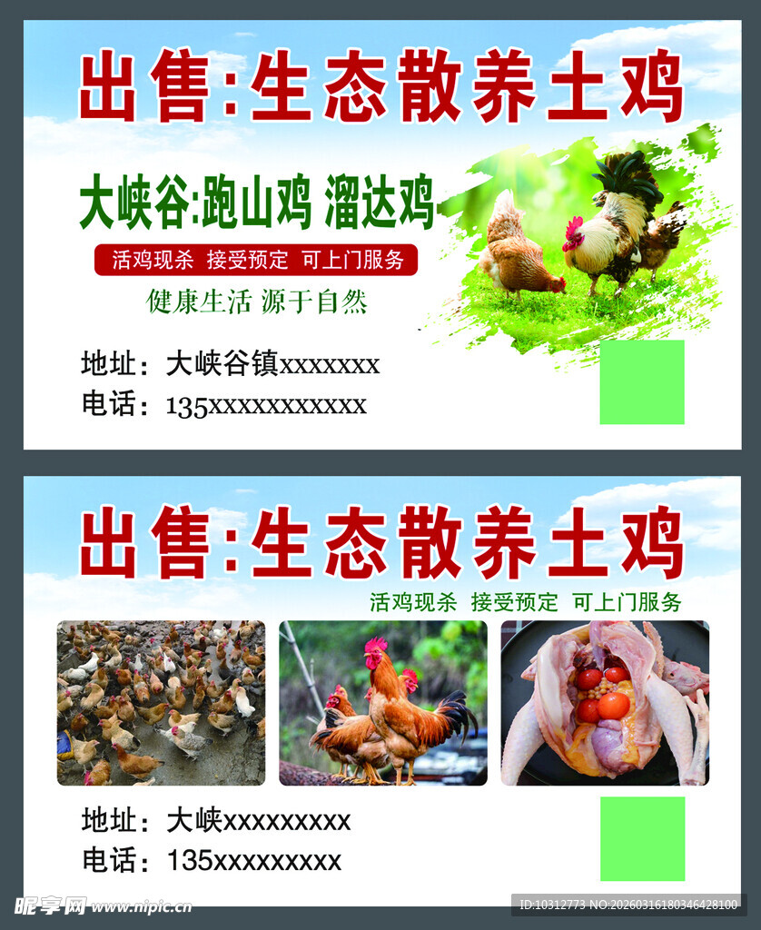 出售生态散养土鸡