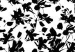 黑白花卉剪影图案