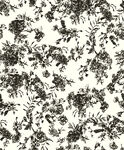 黑白抽象植物纹理图案