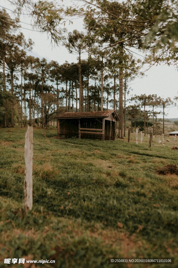 乡村林间小屋 静谧风光