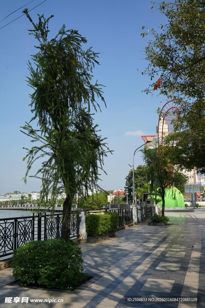 河畔绿树成荫的休闲步道