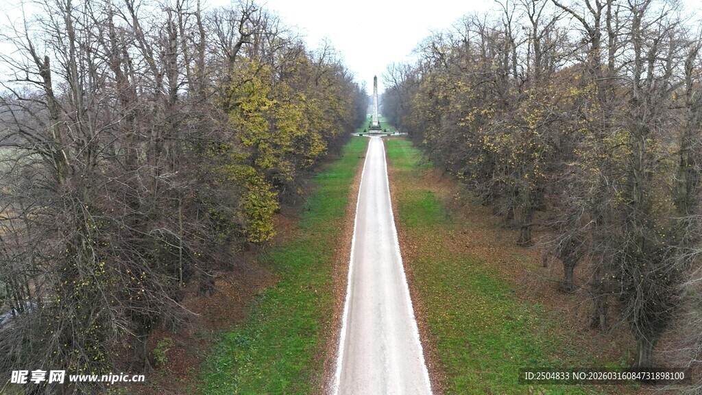林间笔直公路鸟瞰图