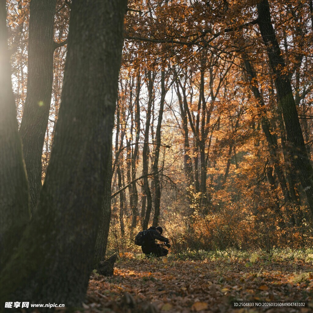 秋日林间独行者