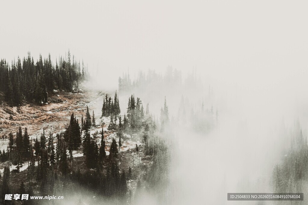 山间云雾缭绕的森林美景