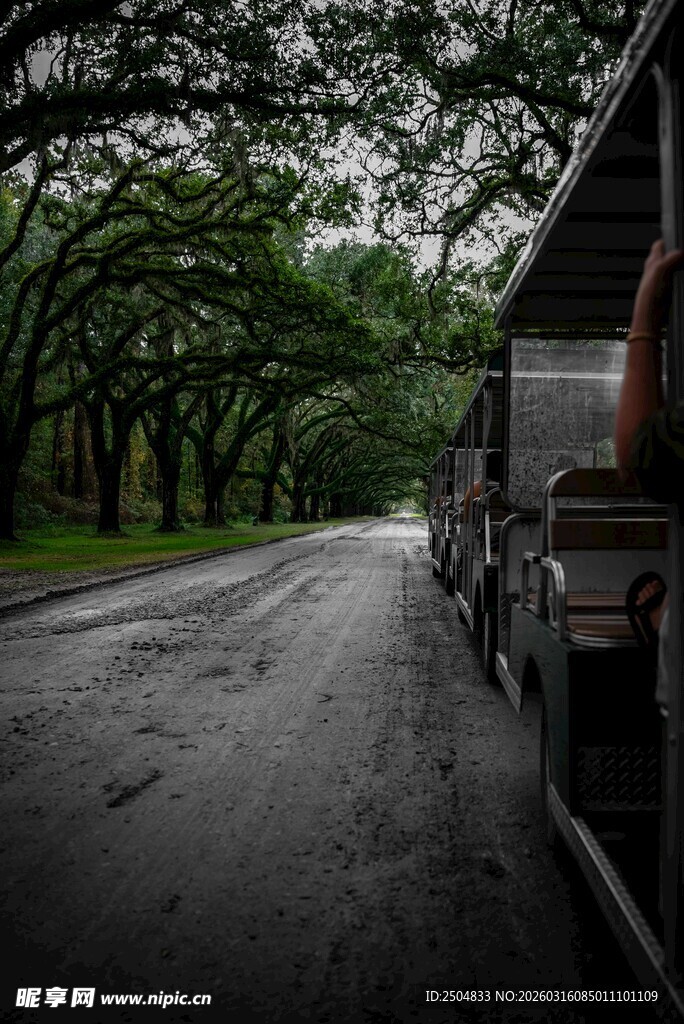 林间公路旁的车辆