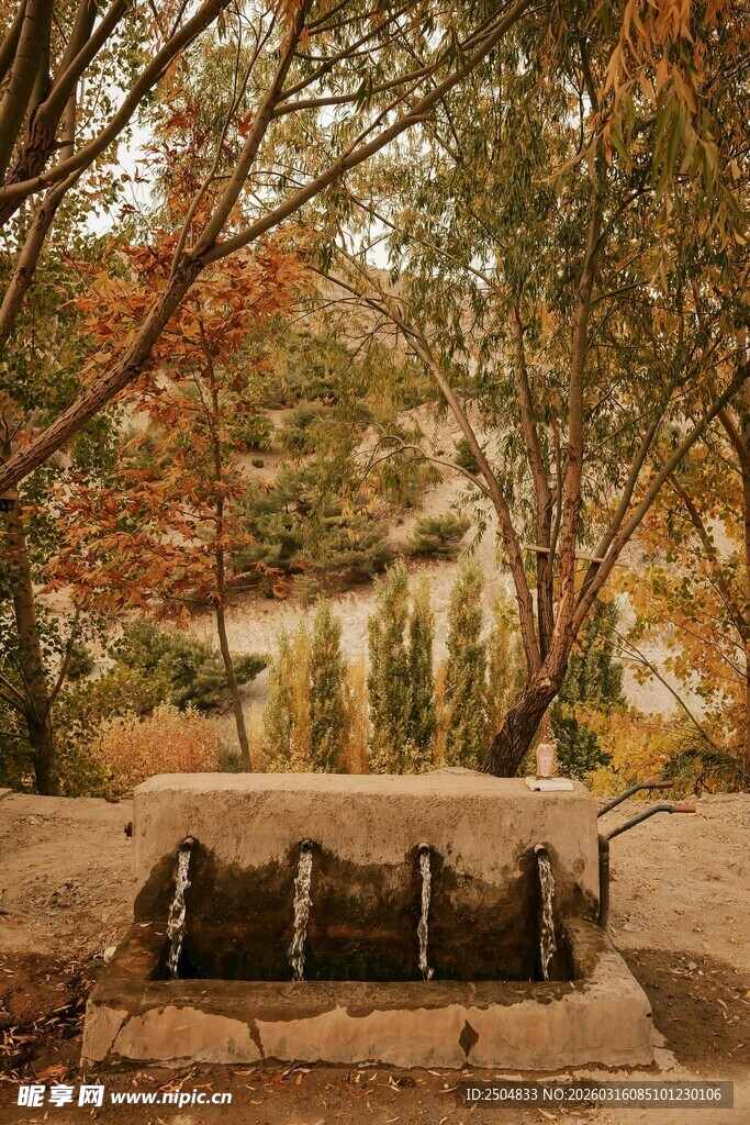 秋日林间的流水景观