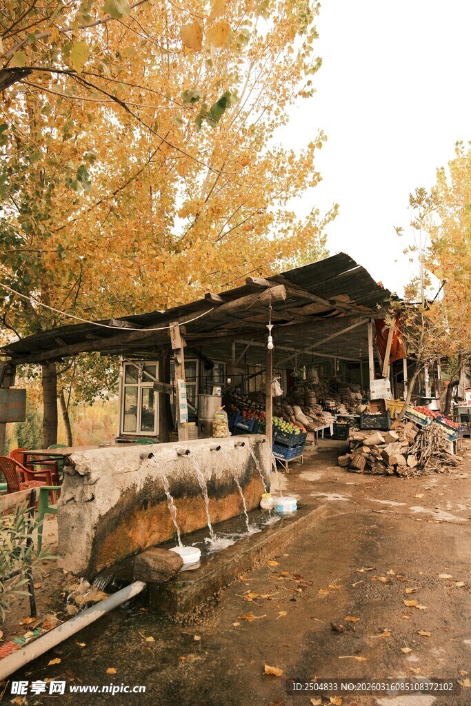 秋日乡村小院质朴景象