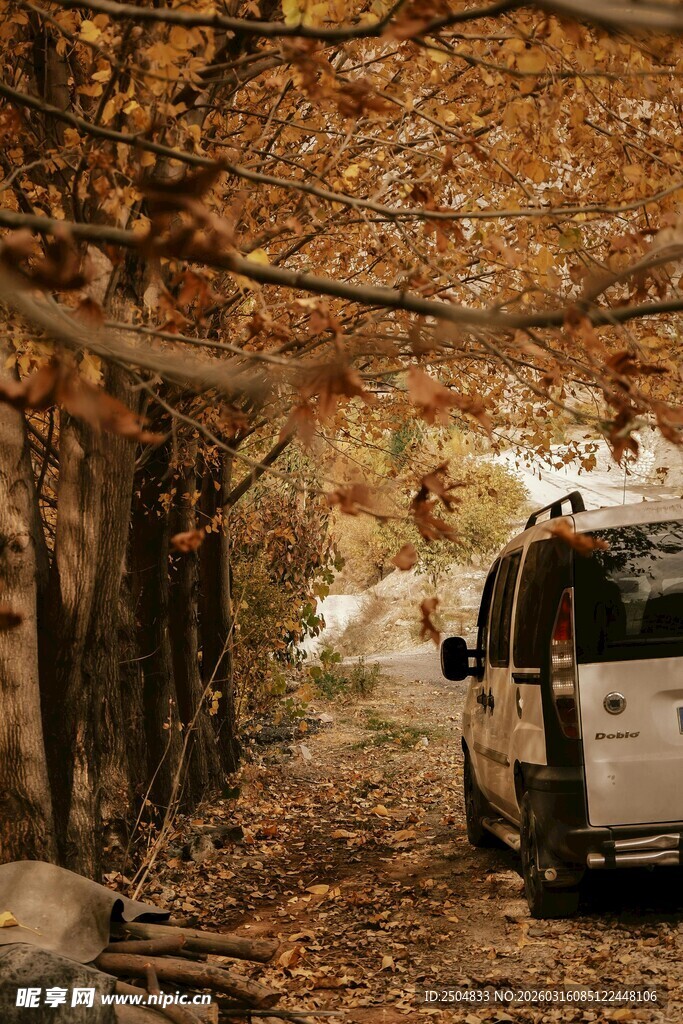 秋日林间的露营车