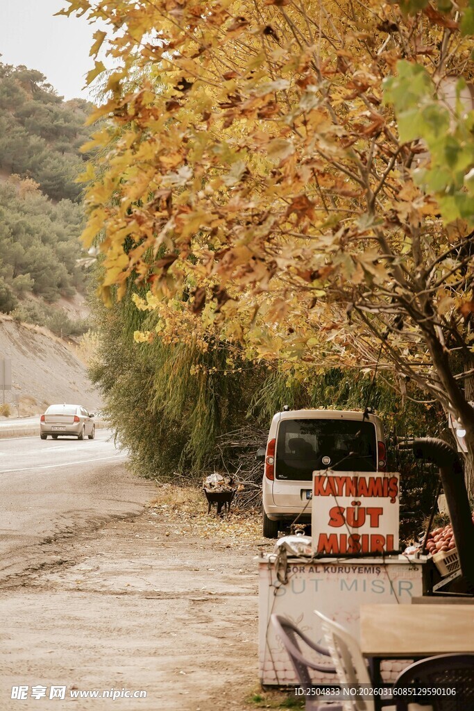 秋日路旁休憩的车辆与景致
