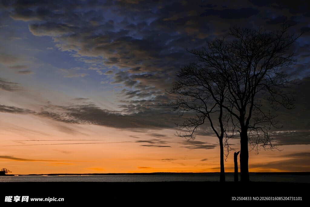 黄昏湖畔孤树的静谧美景