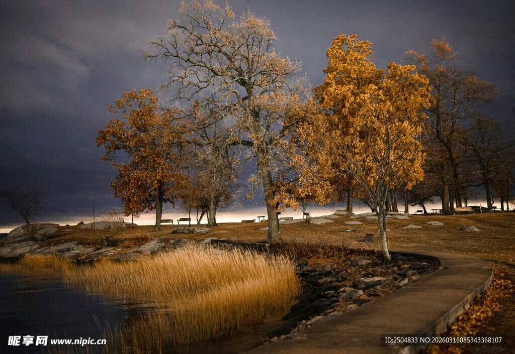 湖畔秋景 树木与暗色天空