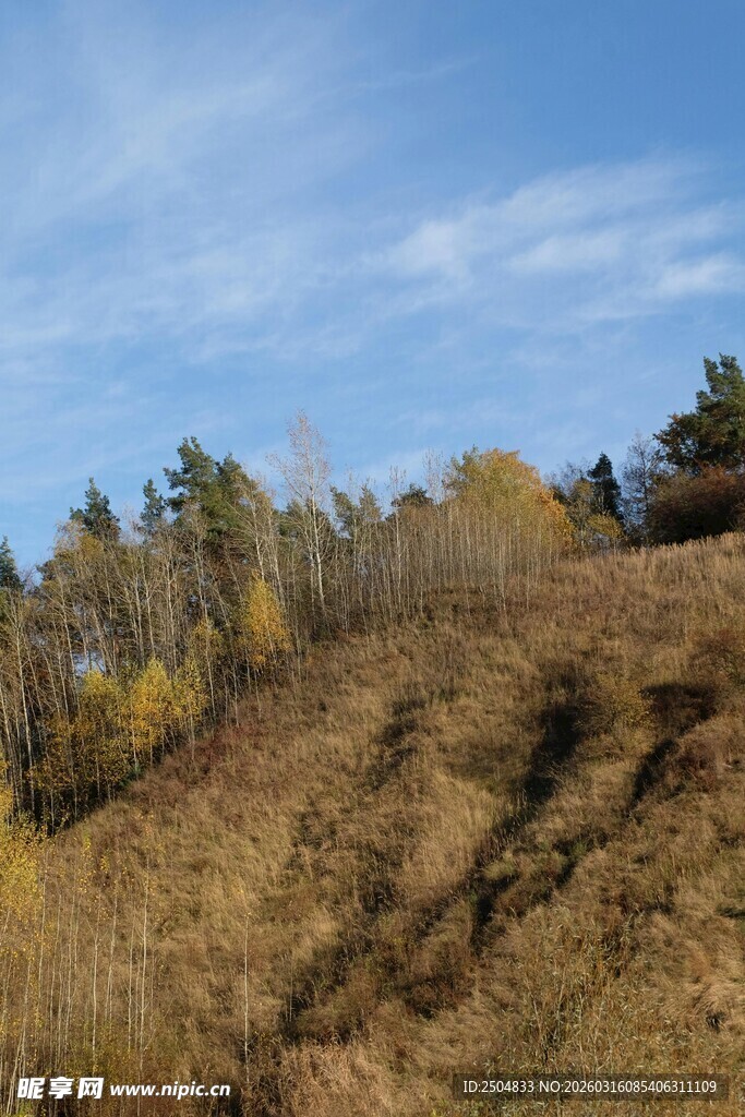 秋日山坡风景