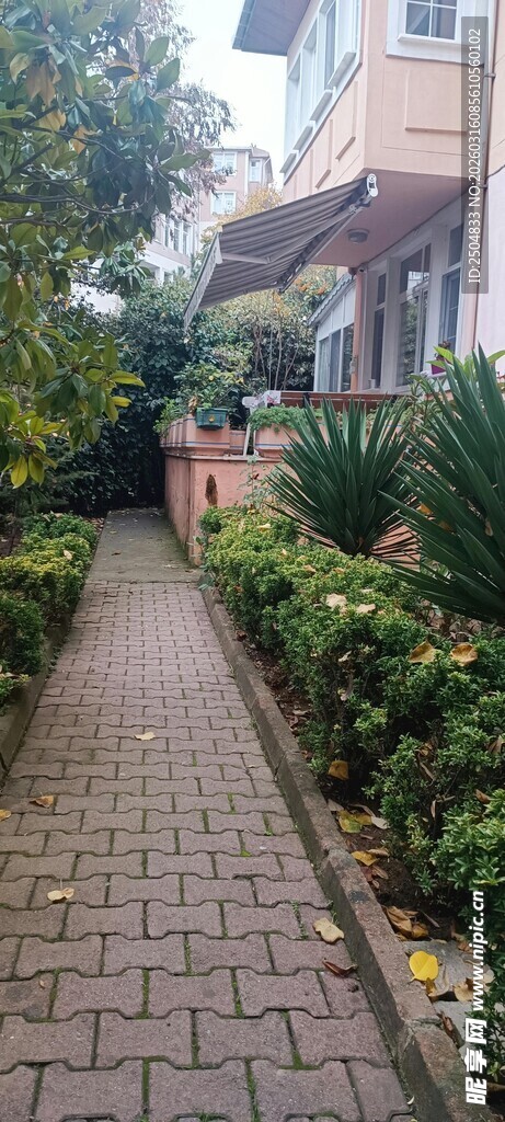 幽静砖砌小径旁绿植环绕