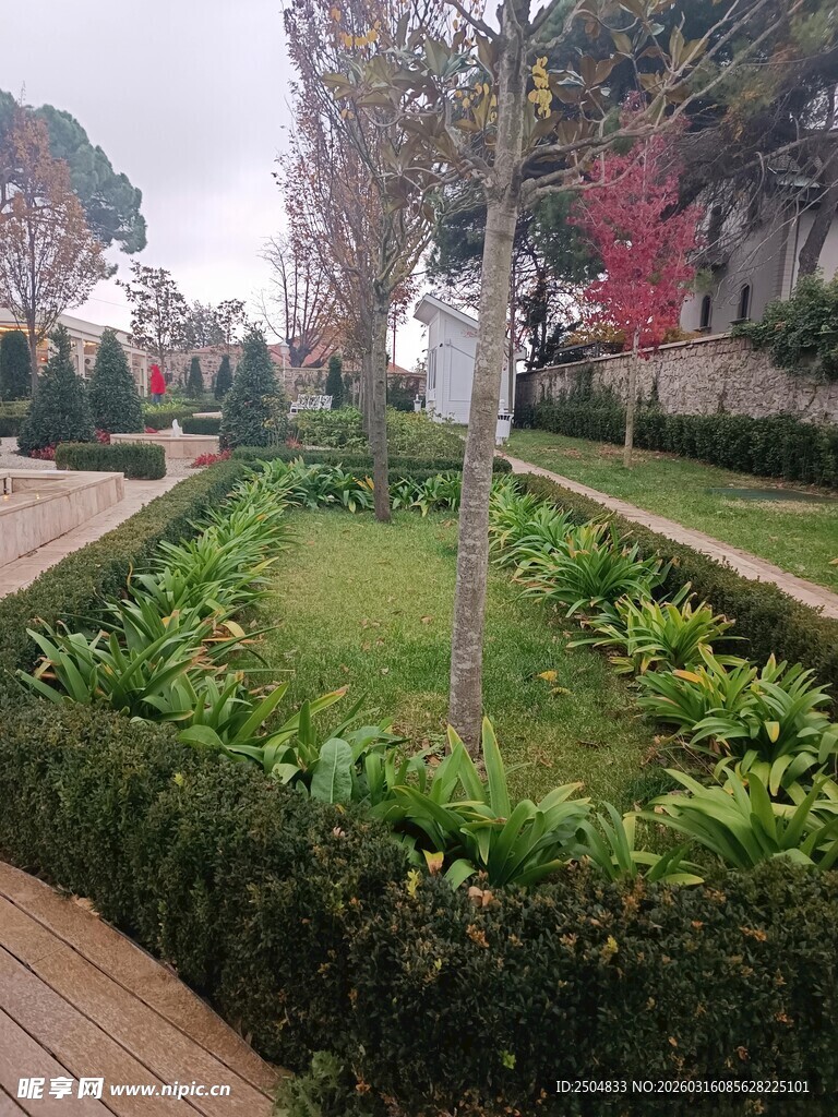 精致庭院绿植景观