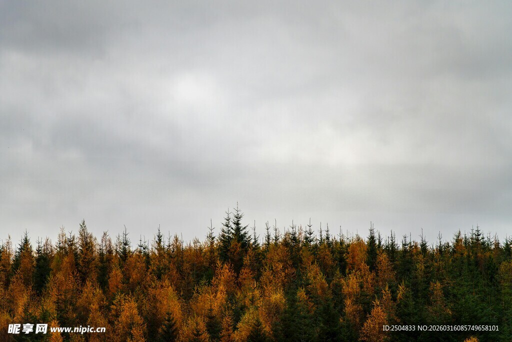 秋日山林 层林尽染