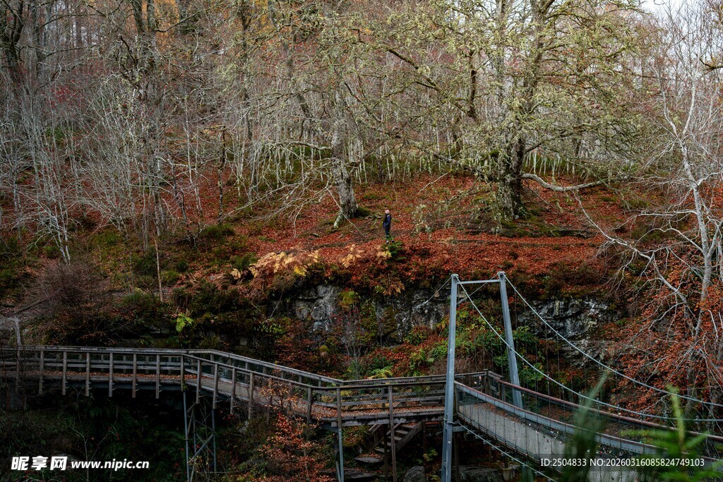 秋日山间栈道风景