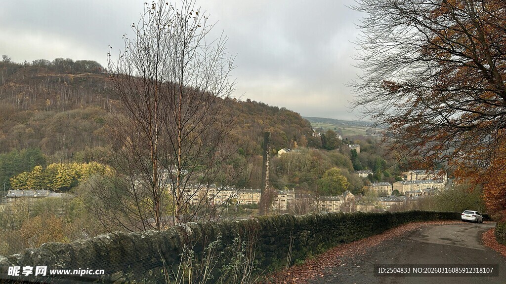 山间道路旁的萧瑟秋景