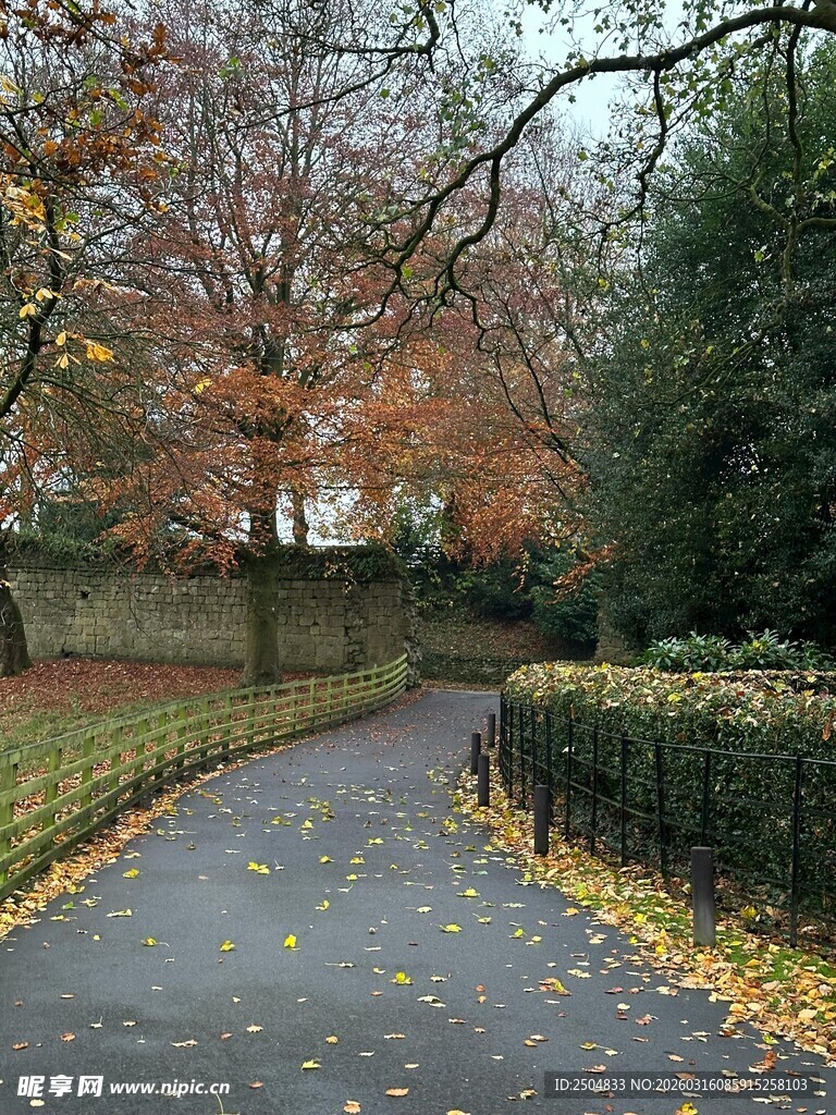 秋日公园小径美景