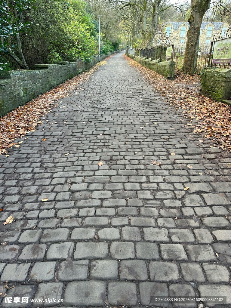 石板铺就的林间幽静小道