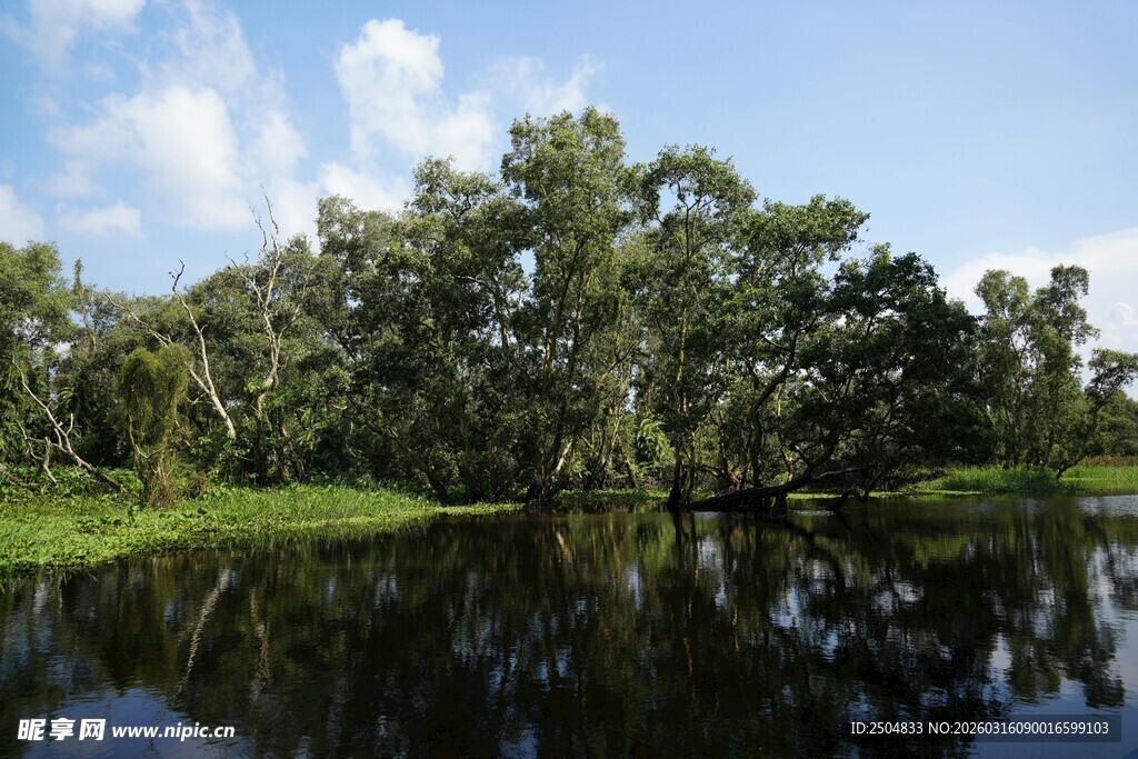 湖畔绿树倒映静谧美景