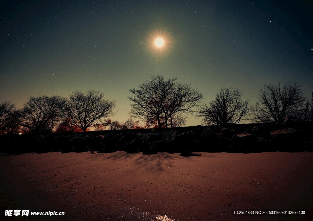 月夜下的静谧田野