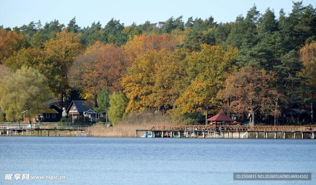 湖畔秋色 多彩树林映碧水