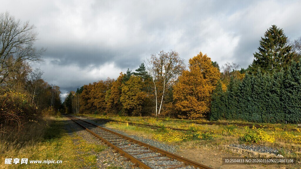 秋日铁轨旁的多彩树林