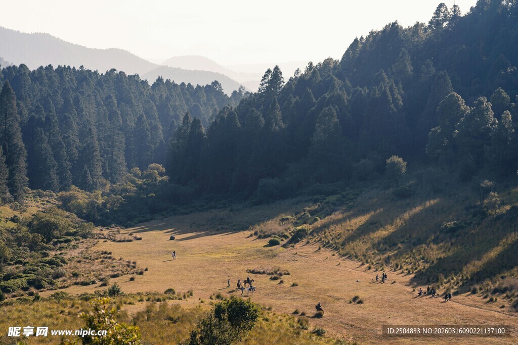 山间开阔地 林木环绕景色美