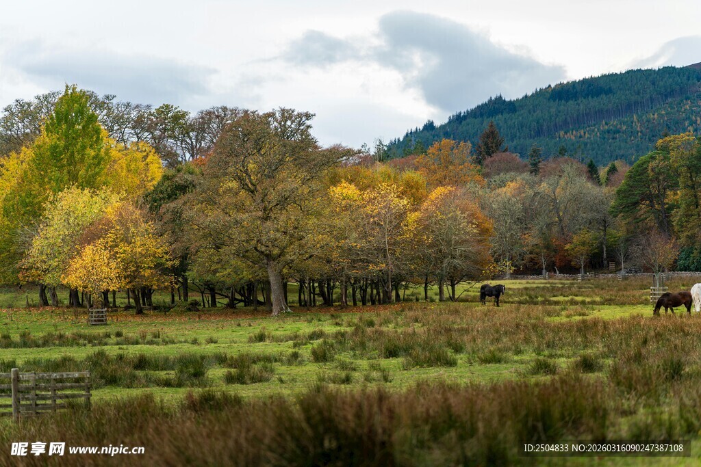 秋日草原山林景色