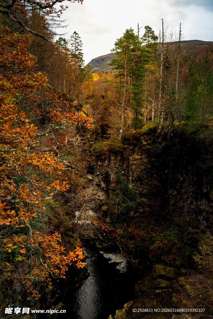 秋日山林间的迷人瀑布