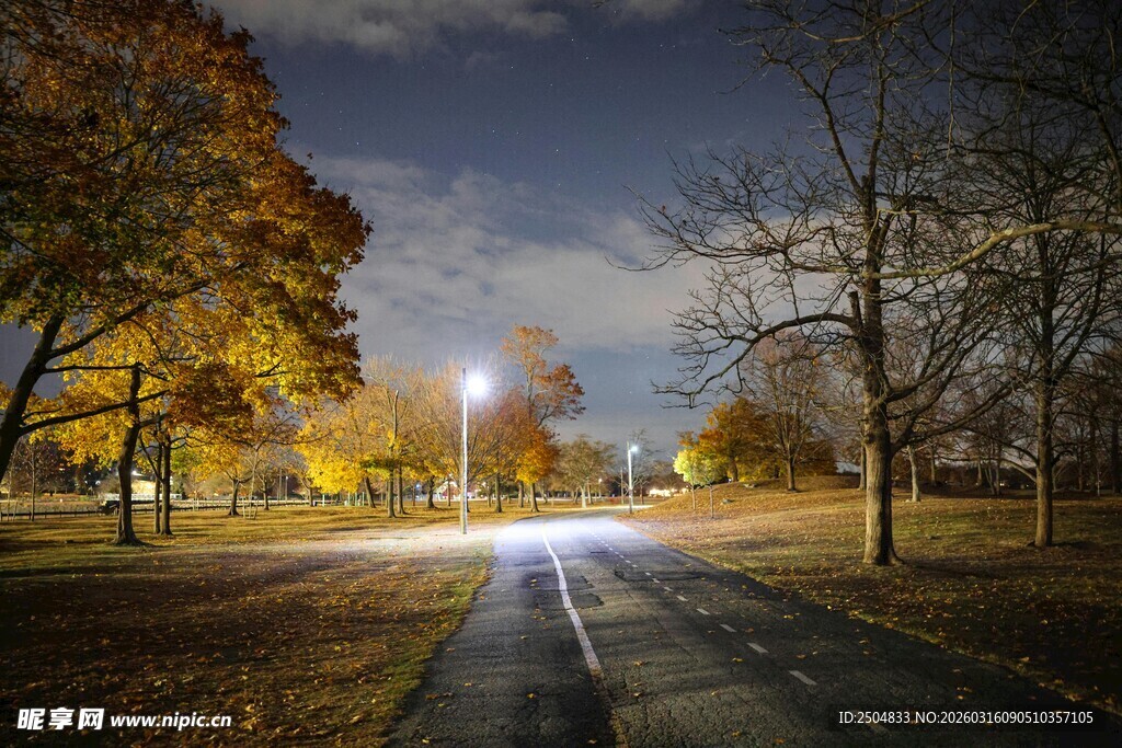 秋夜公园的静谧道路
