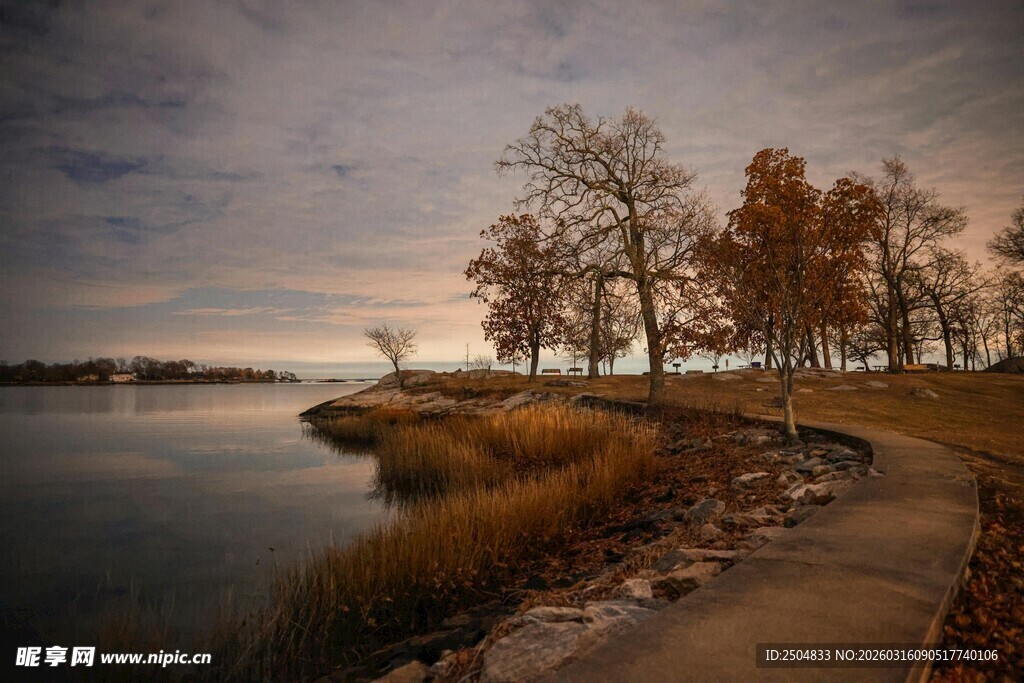 湖畔秋景 静谧小路与树木