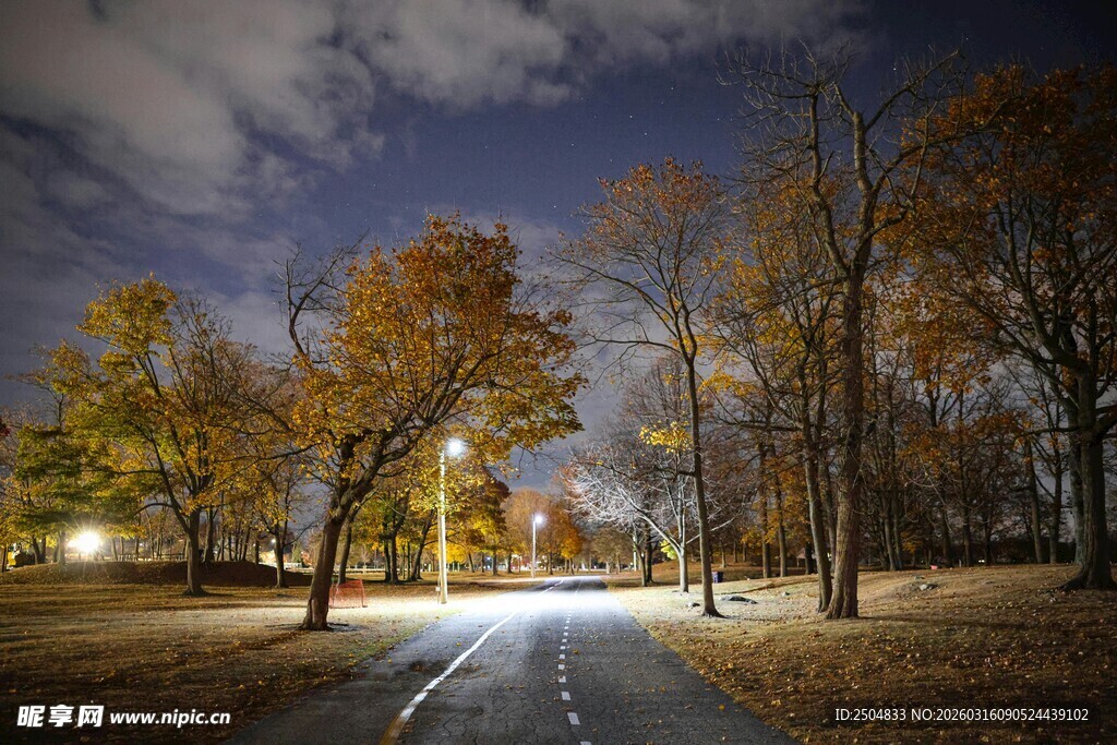 秋夜林间小路静谧美景