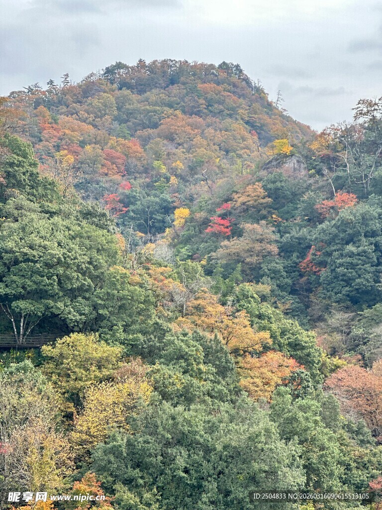 秋日山林斑斓景致