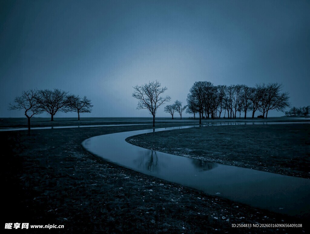 暗夜湖畔孤树风景图