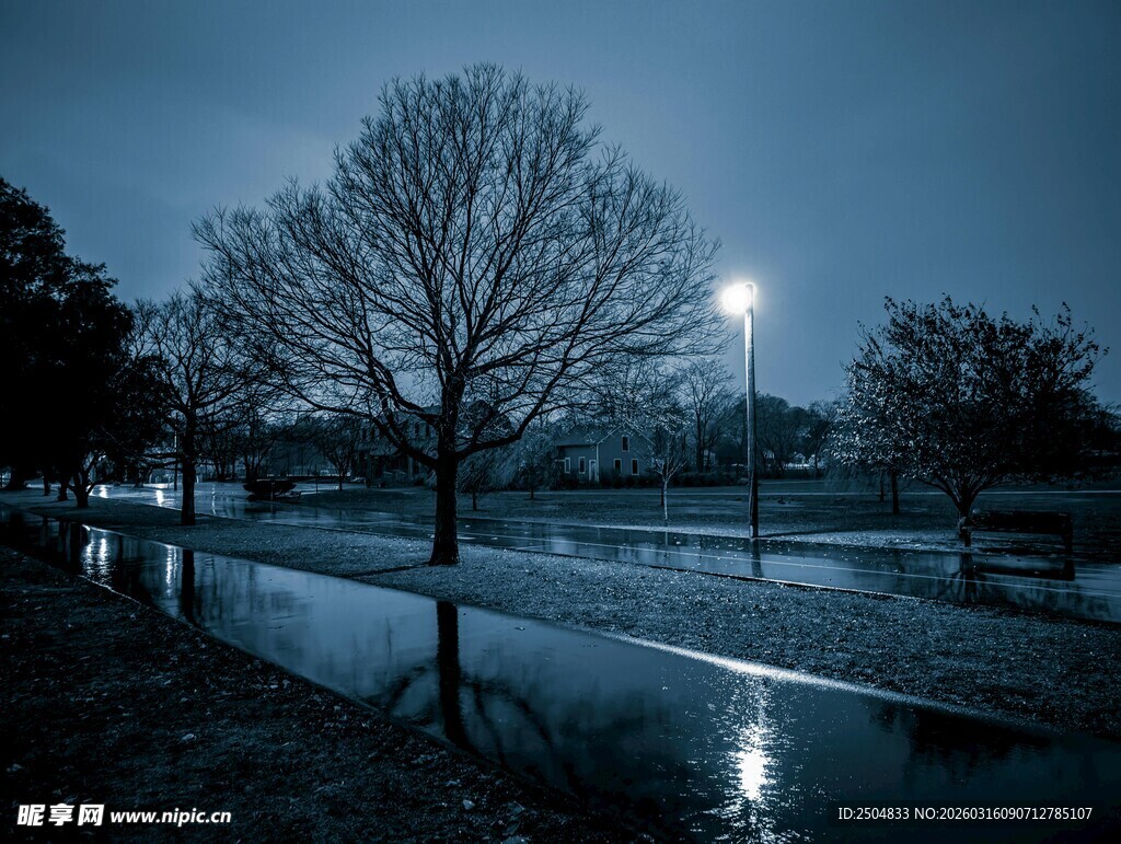 夜晚公园静谧景象