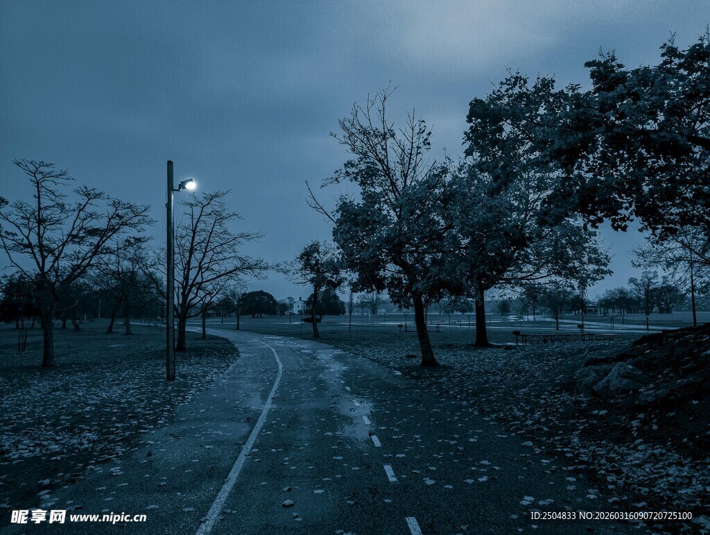 雨夜公园静谧小路景象