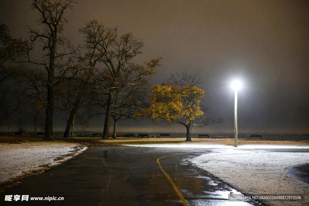 冬夜路灯下的道路景象