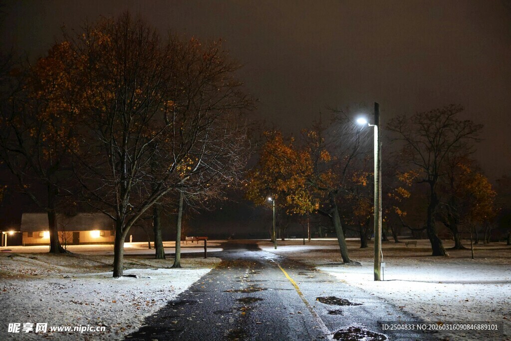 冬夜雪后的静谧林间小道