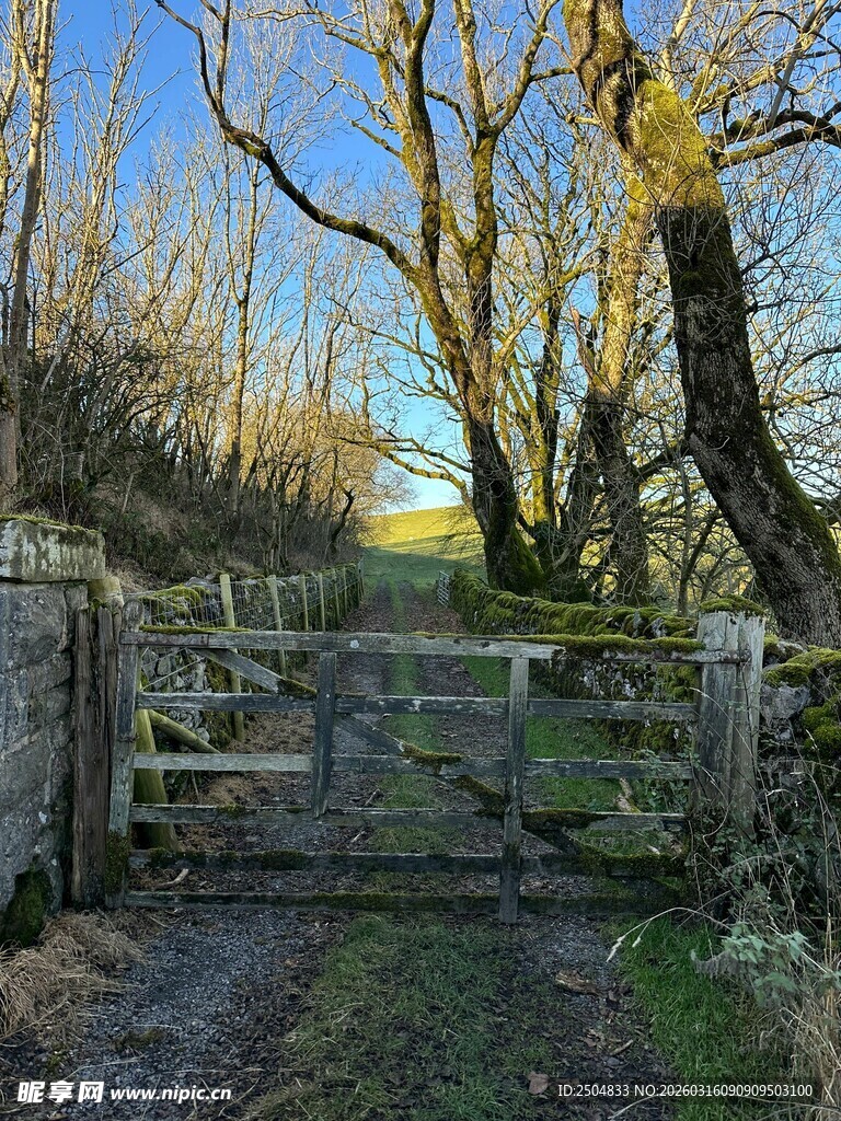 乡村林间小道与古朴木门